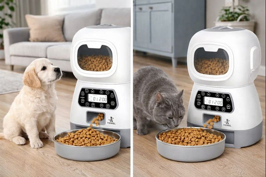 Robot para alimento y agua automático para mascotas.