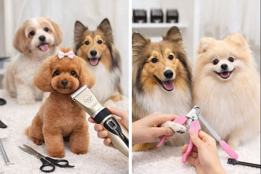 Cortapelos Para Mascotas Dp 1 At